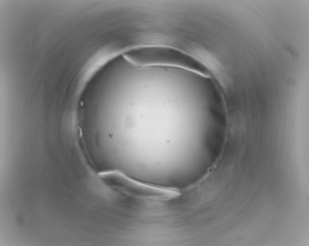 X0000115731472200911251928