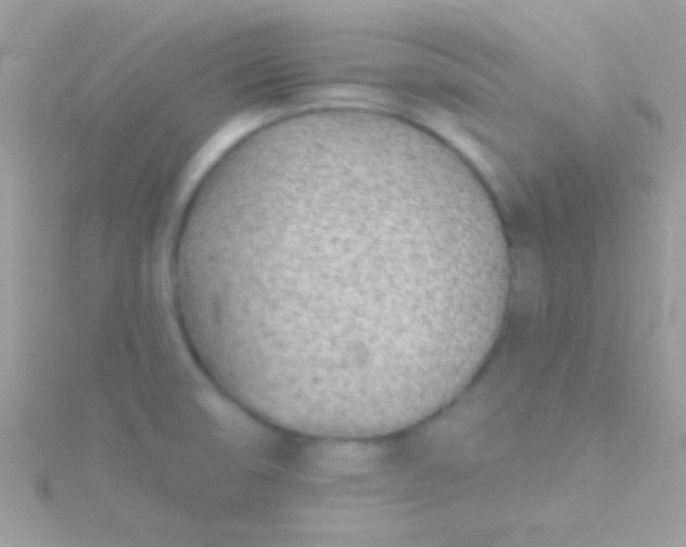 X0000115731474200911251928