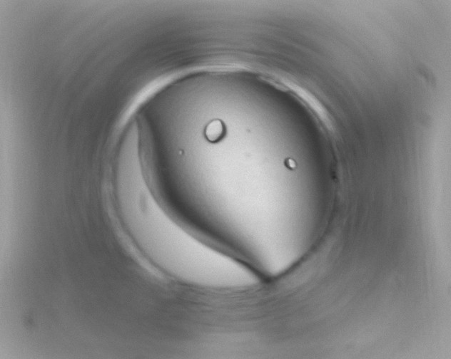 X0000115731477200911251928