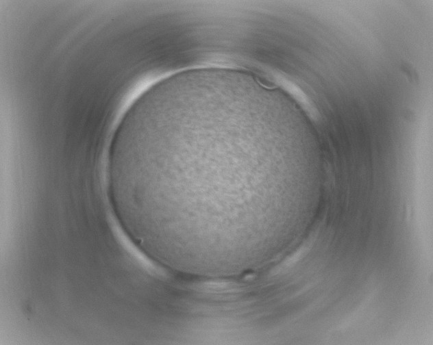 X0000115731479200911251928