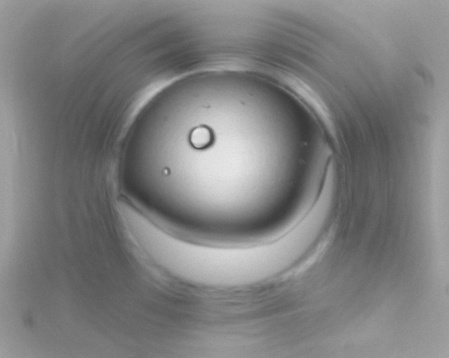 X0000115731481200911251928