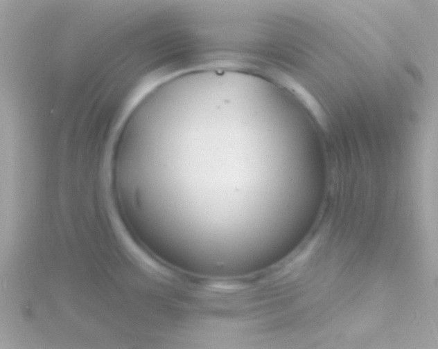 X0000115731483200911251928