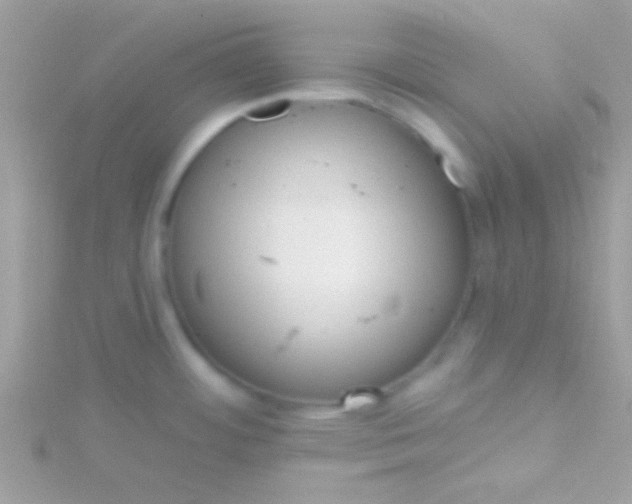 X0000115731484200911251928