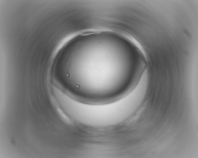 X0000115731485200911251928