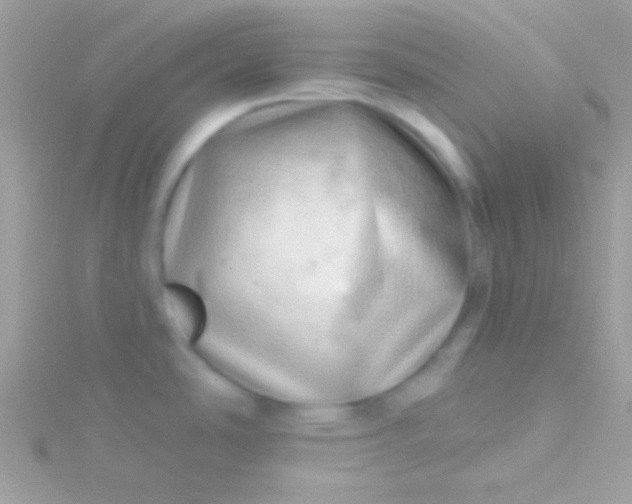 X0000115731486200911251928