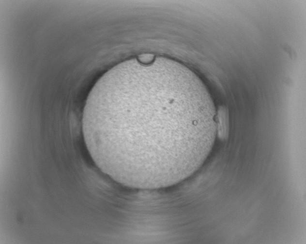 X0000115731491200911251927