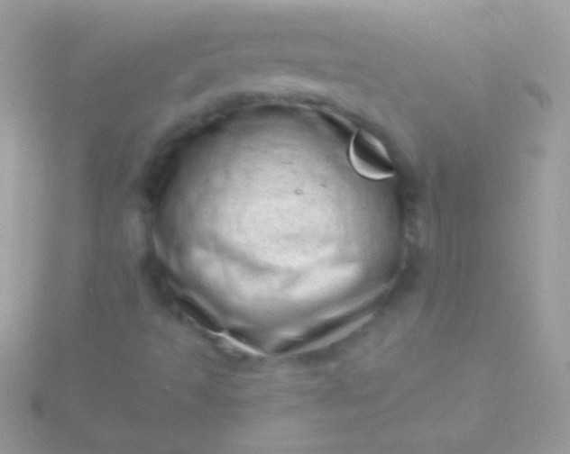 X0000115731493200911251927