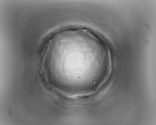 X0000115731494200911251927