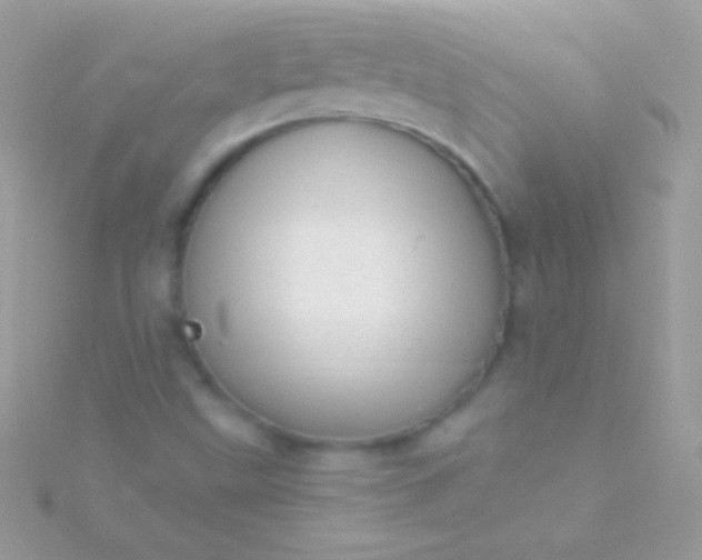 X0000115731499200911251927