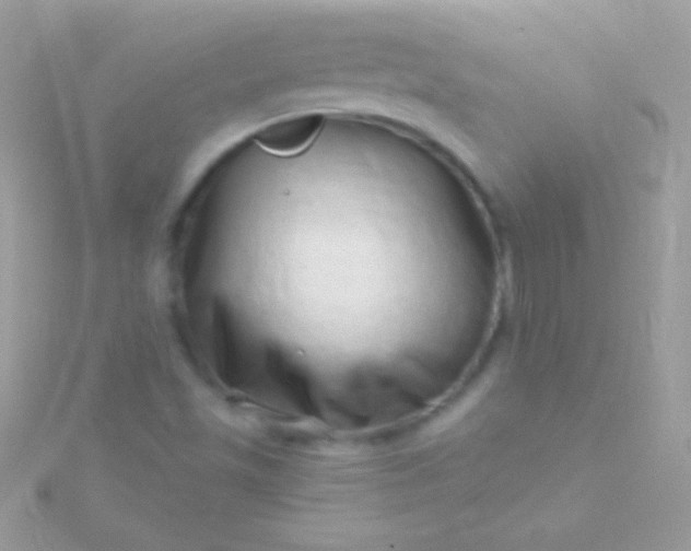 X0000115731501200911251927