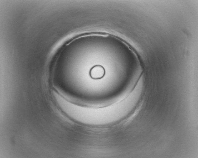 X0000115731502200911251927