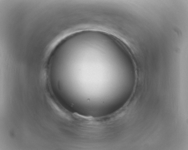 X0000115731503200911251927