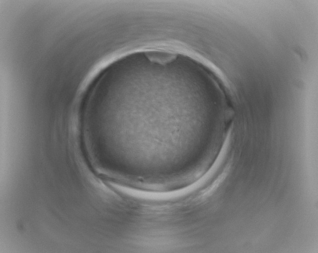 X0000115731506200911251927