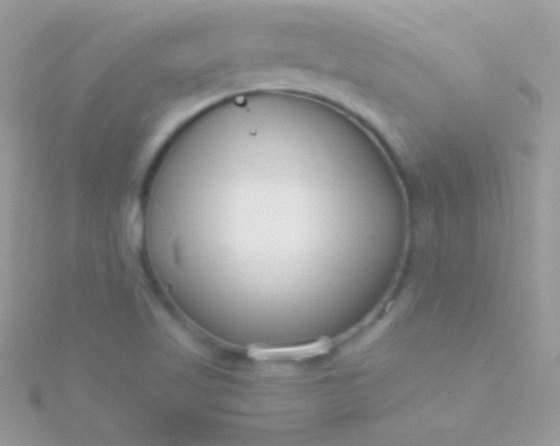 X0000115731509200911251927