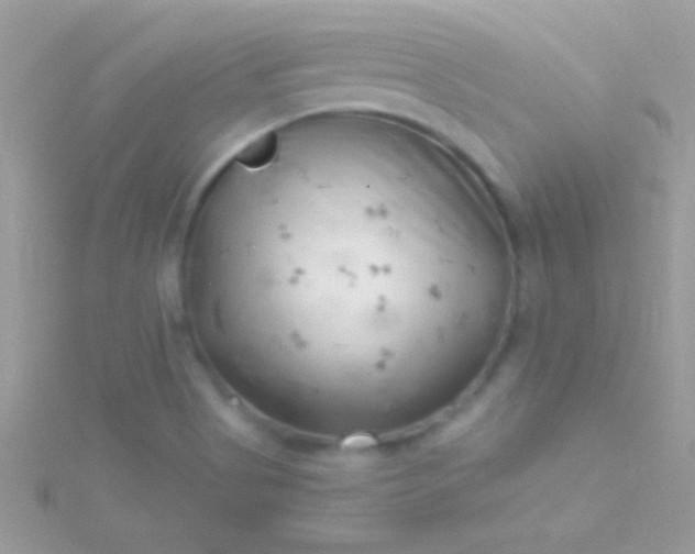 X0000115731513200911251927