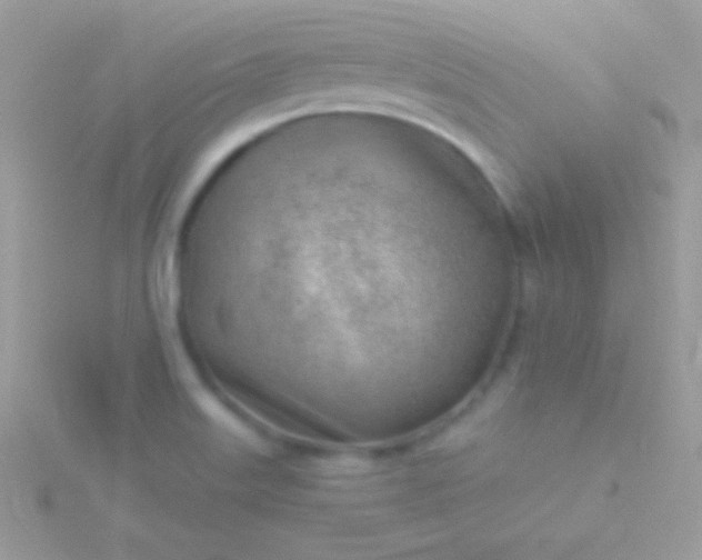 X0000115731515200911251927