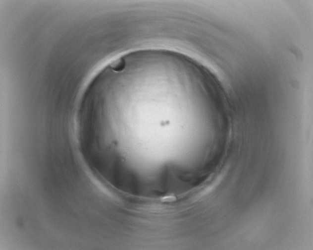 X0000115731517200911251927