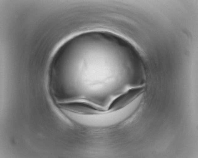 X0000115731518200911251927