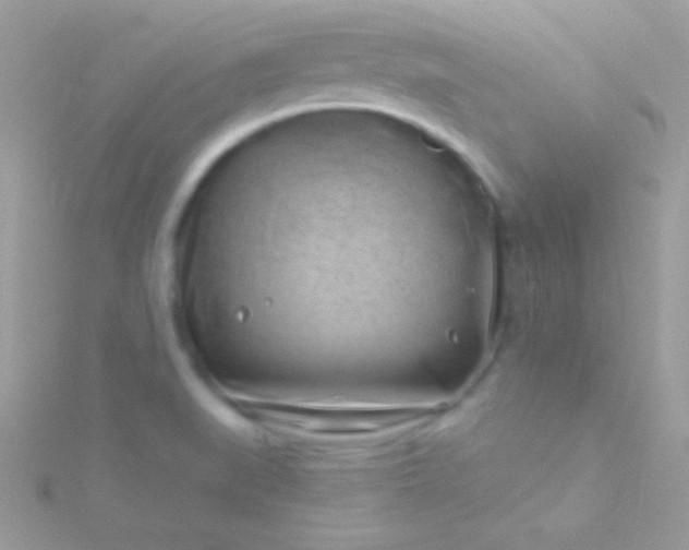 X0000115731519200911251927