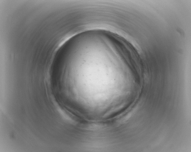 X0000115731521200911251927