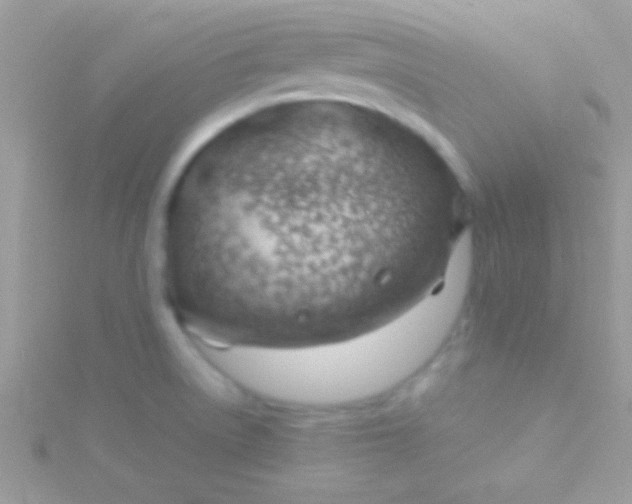 X0000115731522200911251927