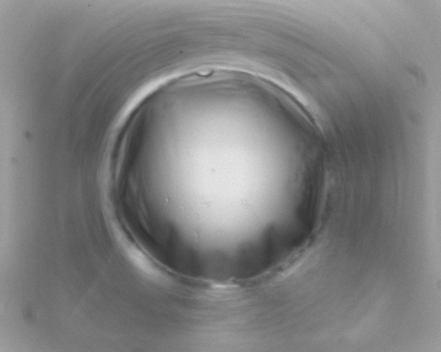 X0000115731523200911251927