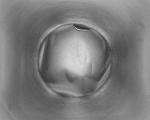 X0000115731525200911251927