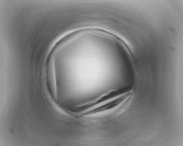 X0000115731526200911251927