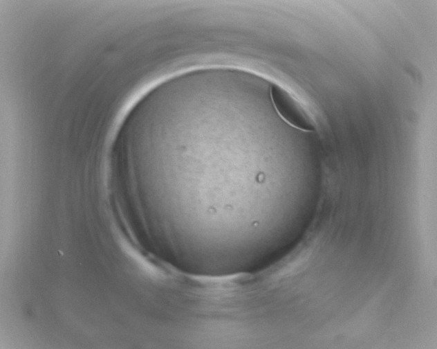 X0000115731527200911251927