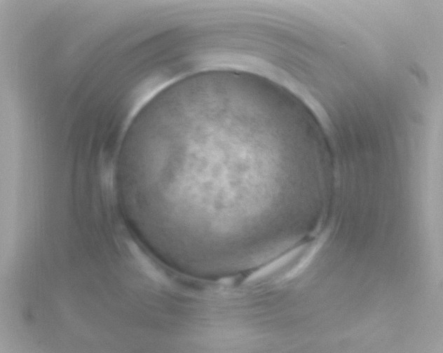 X0000115731529200911251927