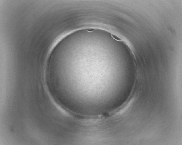 X0000115731533200911251927