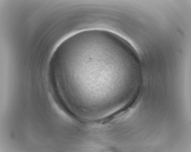 X0000115731534200911251927