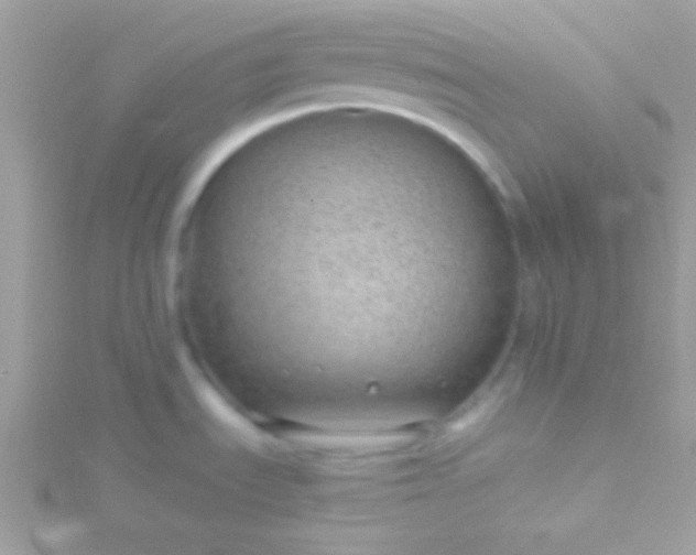 X0000115731535200911251927