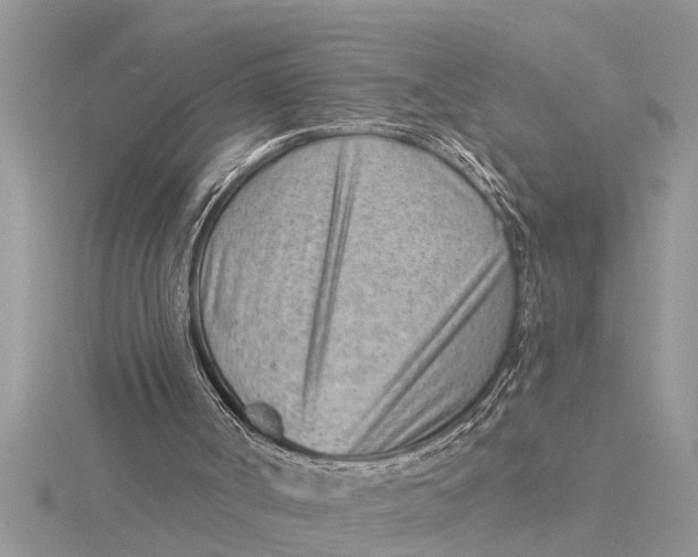 X0000115730002200912031416