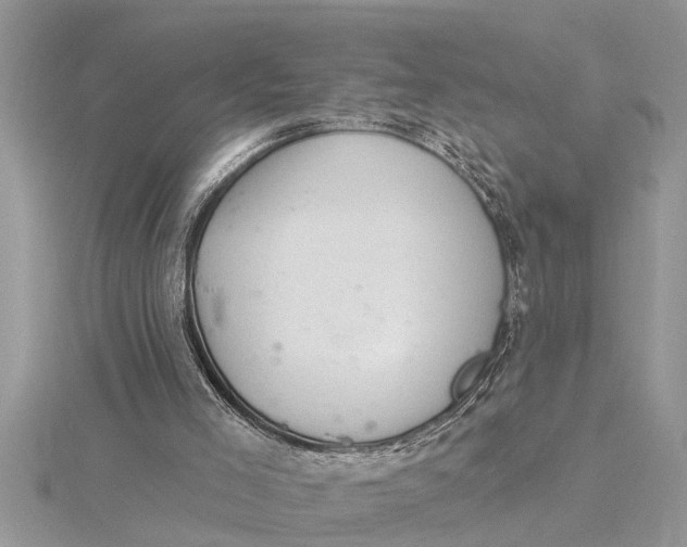 X0000115730005200912031416