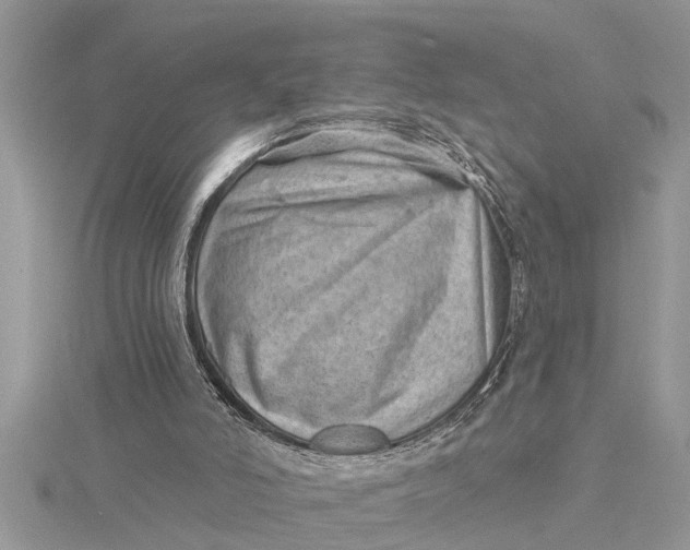 X0000115730006200912031416