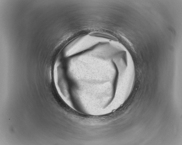 X0000115730020200912031416