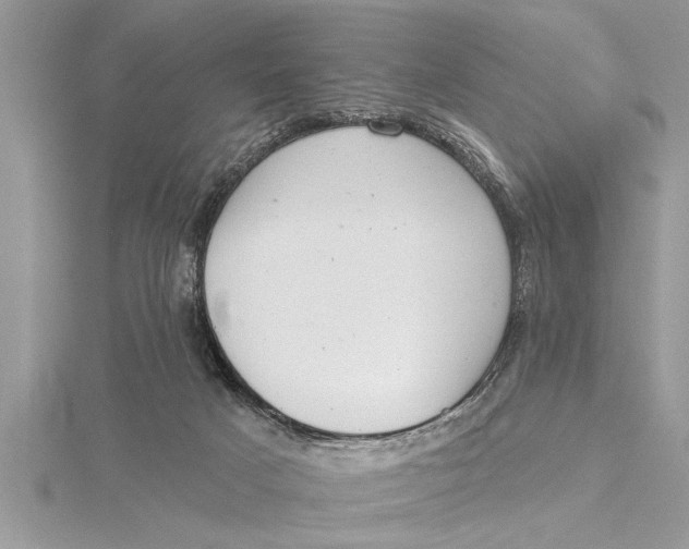 X0000115730025200912031416