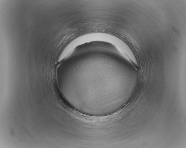X0000115730035200912031416