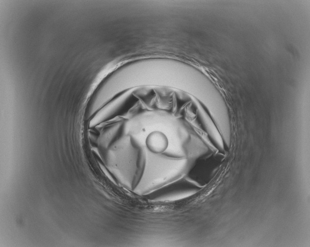 X0000115730056200912031415