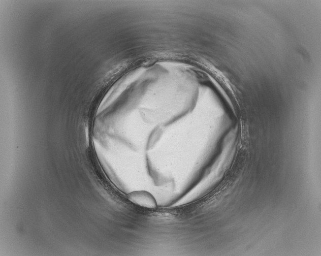 X0000115730061200912031415