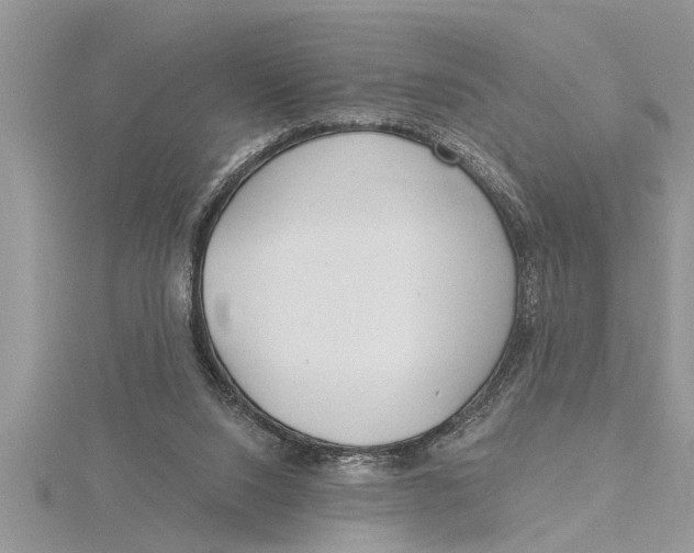 X0000115730064200912031415