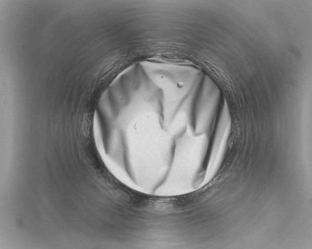 X0000115730078200912031415