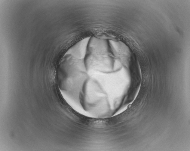 X0000115730081200912031415
