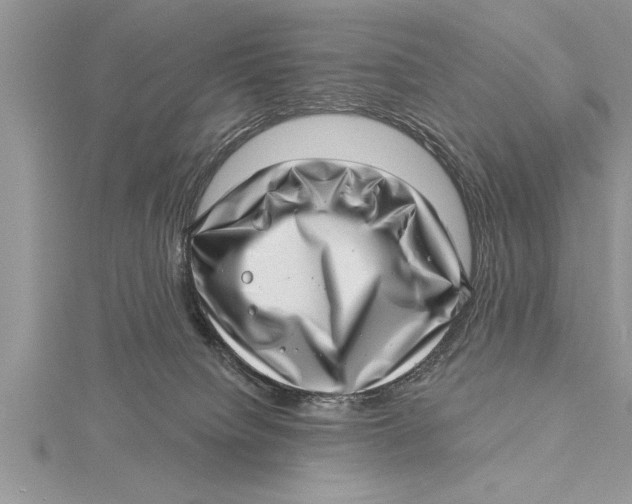 X0000115730084200912031415