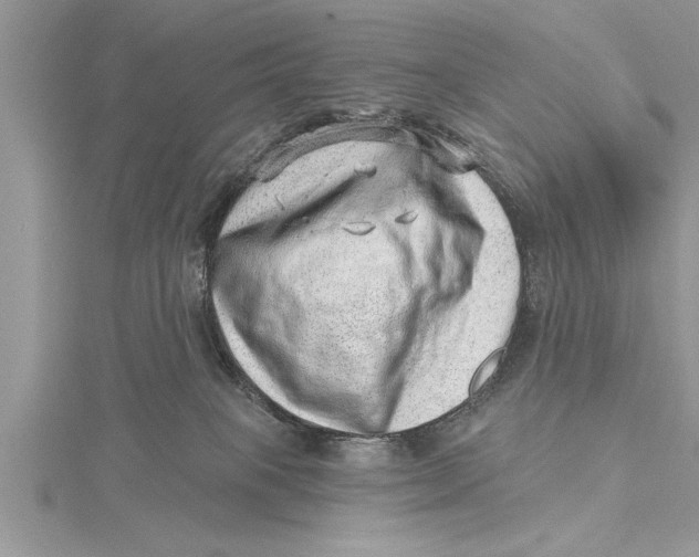 X0000115730085200912031415