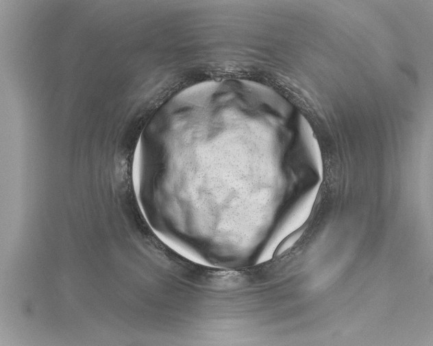 X0000115730087200912031415