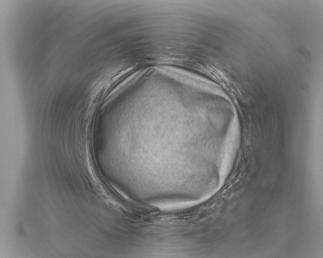 X0000115730097200912031415