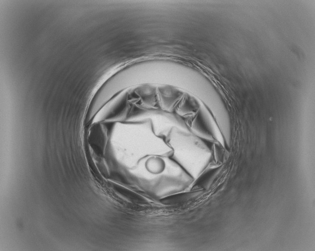 X0000115730100200912031415