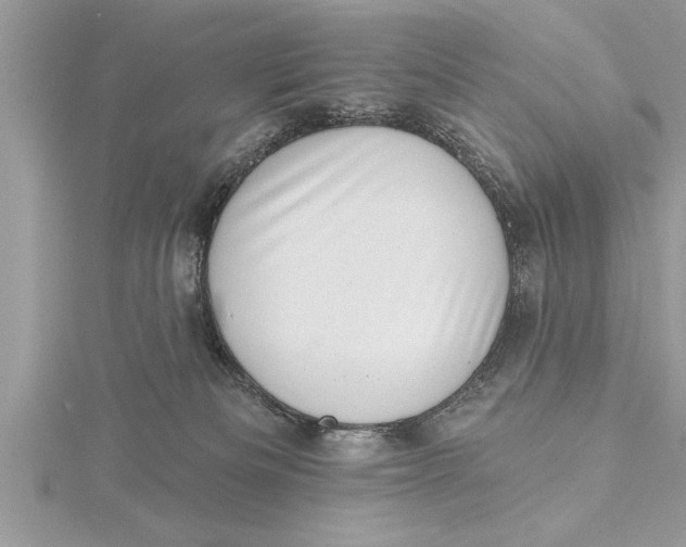 X0000115730133200912031414